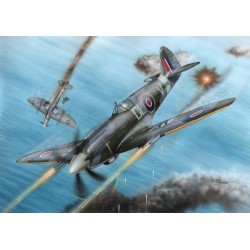 Special Hobby Spitfire...
