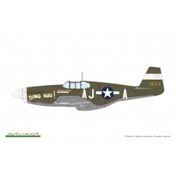 décoration de la Maquette Avion Eduard 1/48 – P- 51B/C Mustang Birdcage Canopy Weekend Edition – Réf. 84209  EAN 8591437605408
