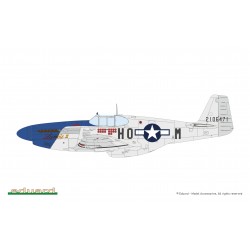 décoration de la Maquette Avion Eduard 1/48 – P- 51B/C Mustang Birdcage Canopy Weekend Edition – Réf. 84209  EAN 8591437605408